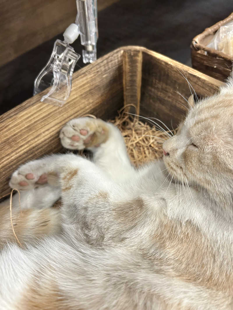 ゆぽぽさんの行田・湯本天然温泉 茂美の湯のサ活写真