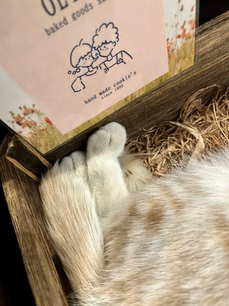 ゆぽぽさんの行田・湯本天然温泉 茂美の湯のサ活写真