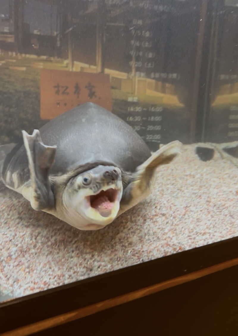 ゆぽぽさんの松本湯のサ活写真