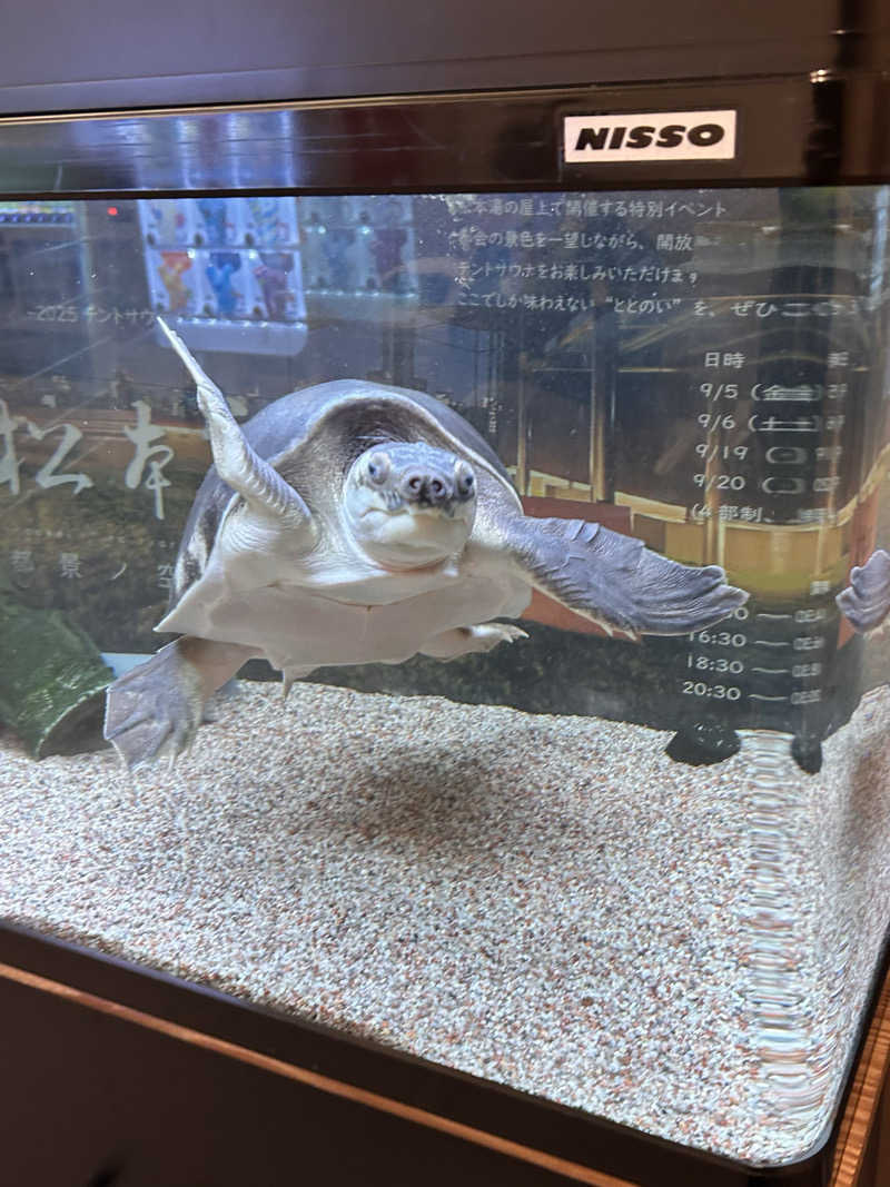 ゆぽぽさんの松本湯のサ活写真