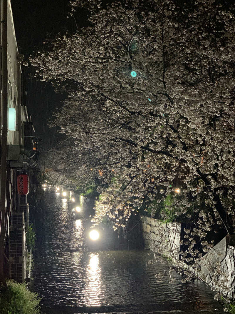 ひよよよさんの大黒湯(東山)のサ活写真