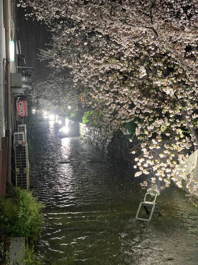 ひよよよさんの大黒湯(東山)のサ活写真