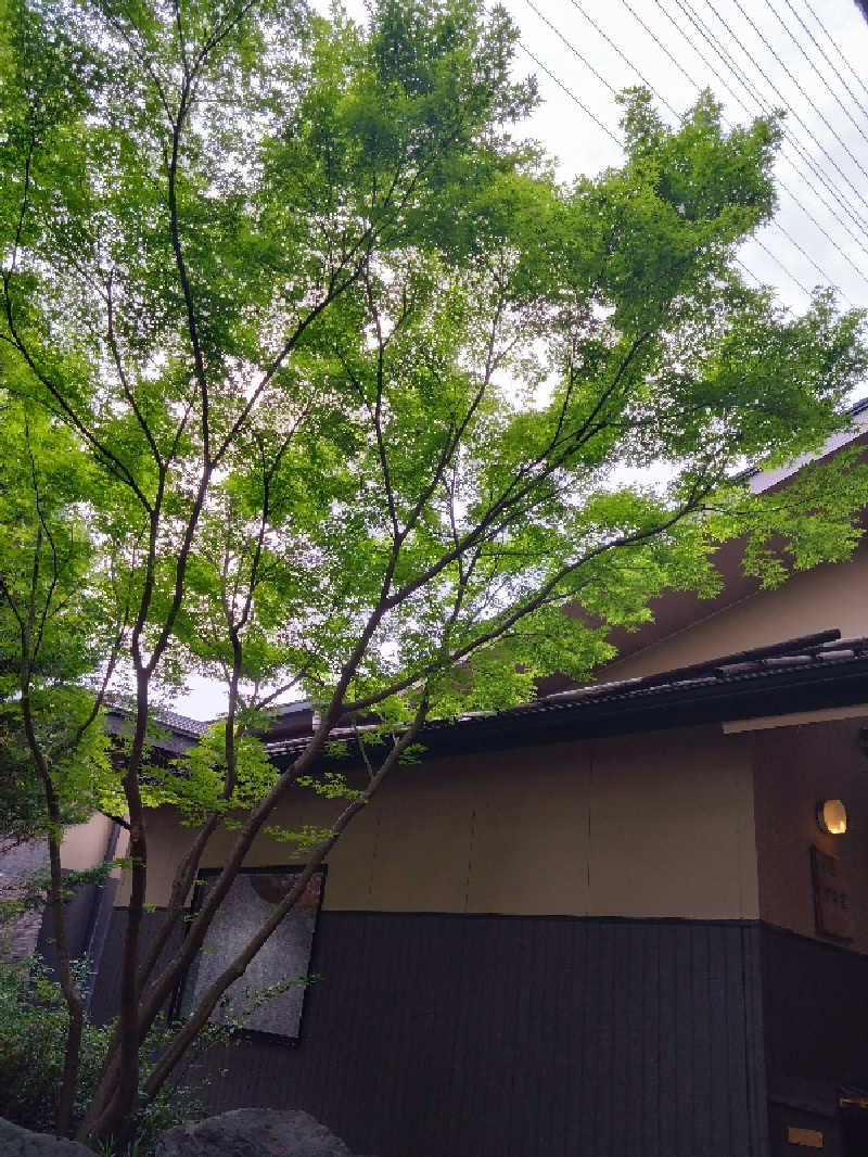 ひらっちさんの天然温泉 延羽の湯 本店 羽曳野のサ活写真