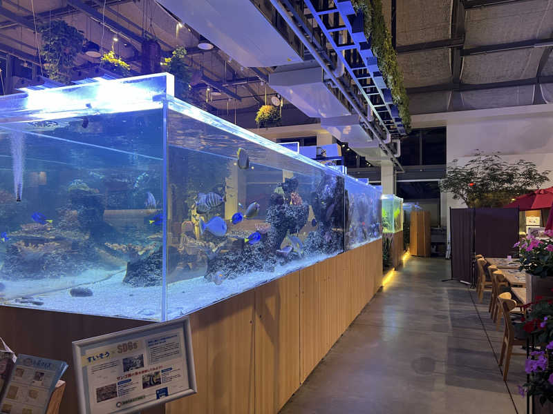 しぷいさんのよみうりランド眺望温泉 花景の湯のサ活写真