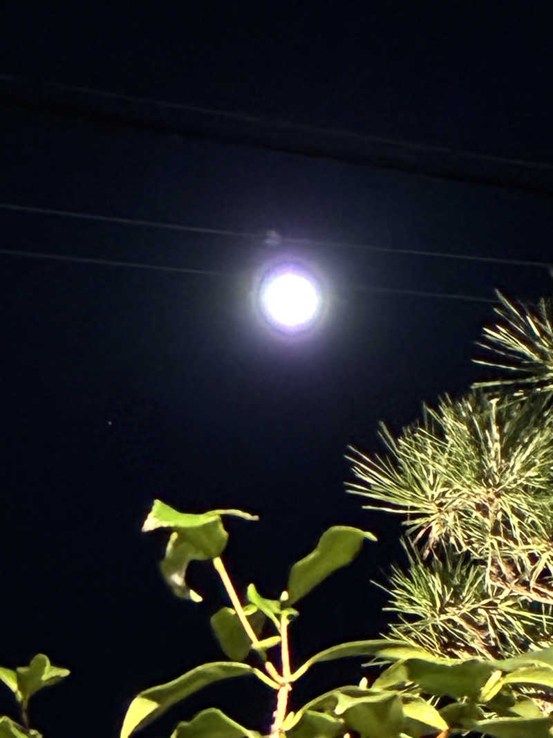 聖さんの野天風呂 湯の郷のサ活写真