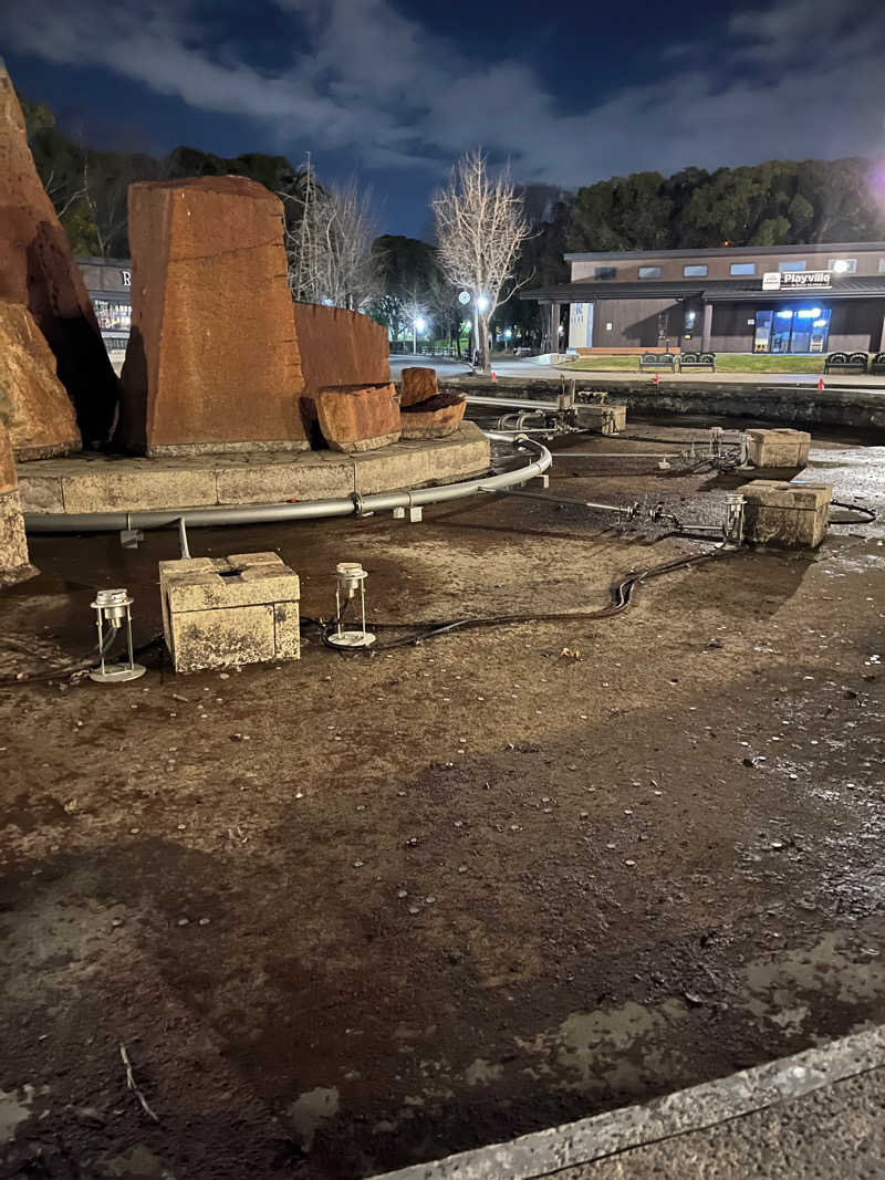 まるまる🐶さんの天然温泉 延羽の湯 鶴橋店のサ活写真