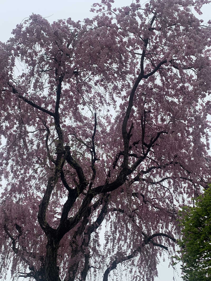 ta-jingさんのりんごの里 こま温泉のサ活写真