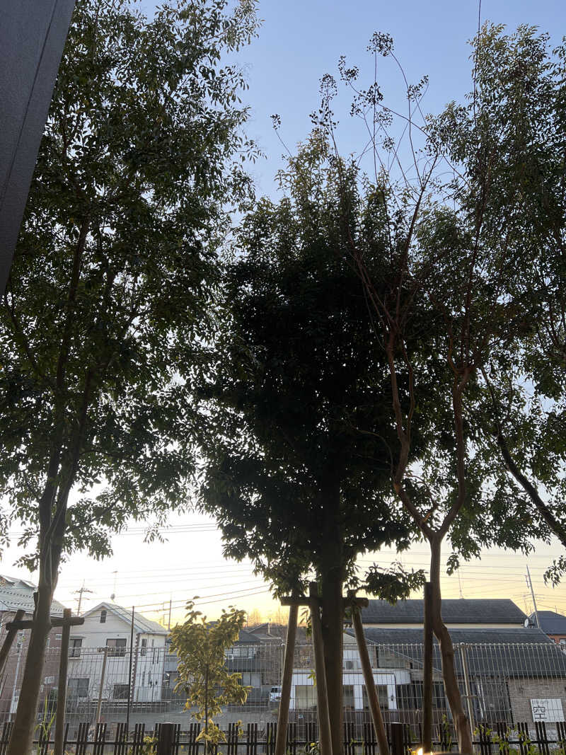 shoさんの天然温泉 湯舞音 龍ケ崎店のサ活写真