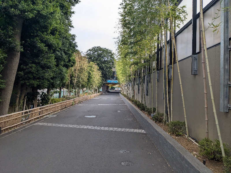 かいみんさんの温泉バルコニー キング&クイーンのサ活写真