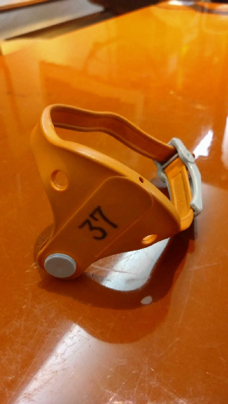 青蜂さんのサウナサンのサ活写真