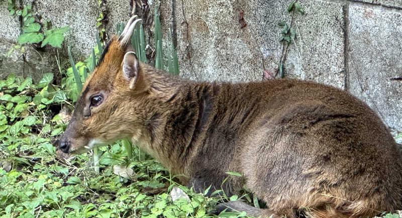 Luv(sic)さんのedén エデン レストラン&スパのサ活写真