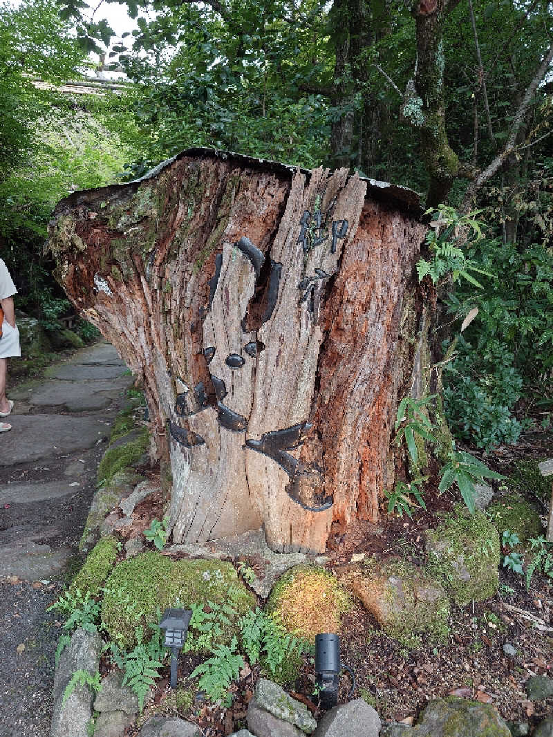 てんとくさんの湯布院プライベートサウナ&温泉NOGIKU  (湯布院旅館のぎく内)のサ活写真