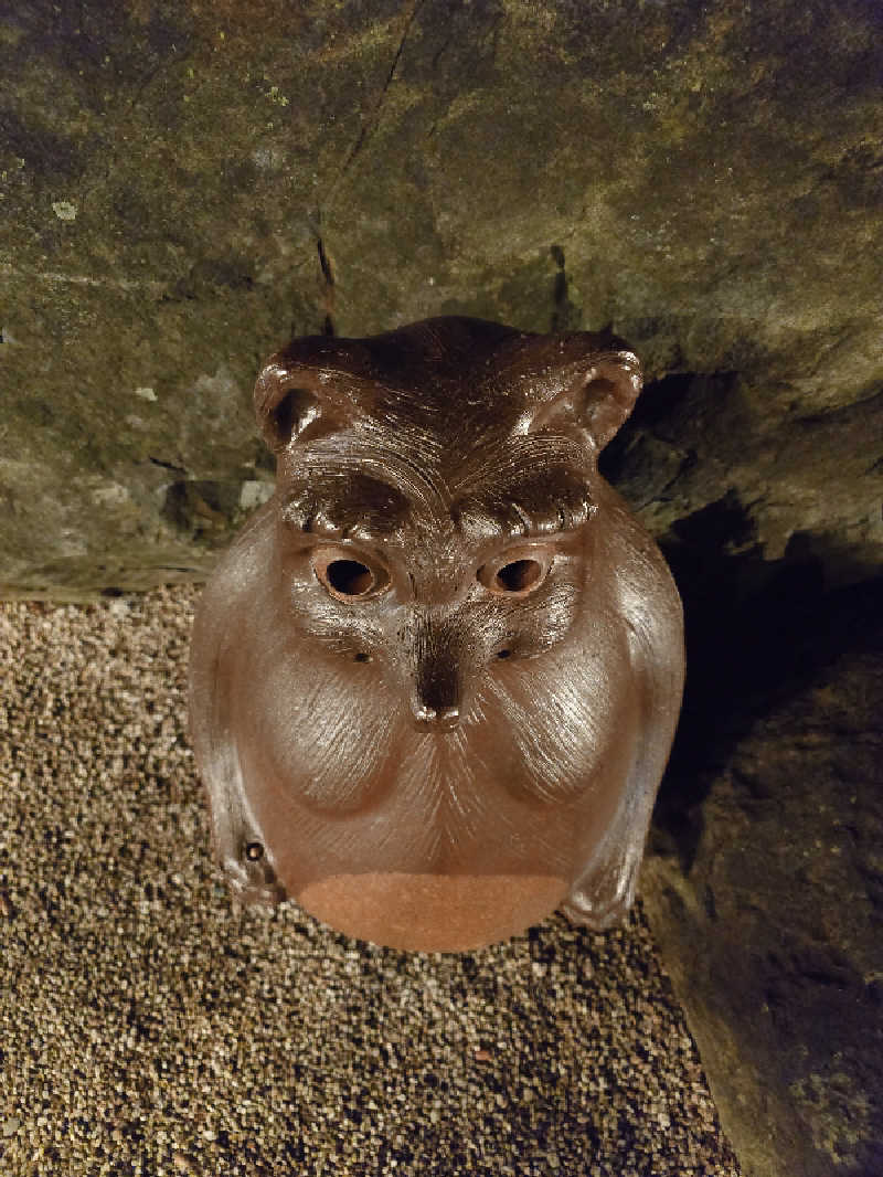 てんとくさんの天然温泉おとぎの杜のサ活写真