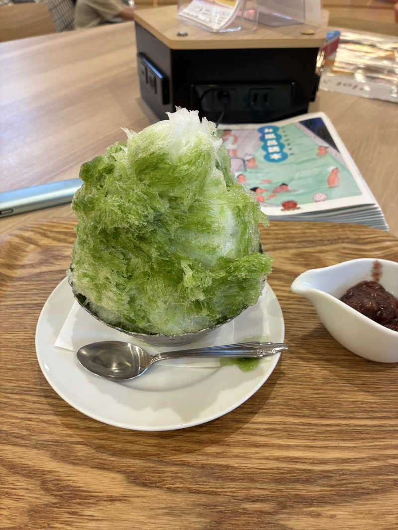 純さんの豊田挙母温泉 おいでんの湯のサ活写真