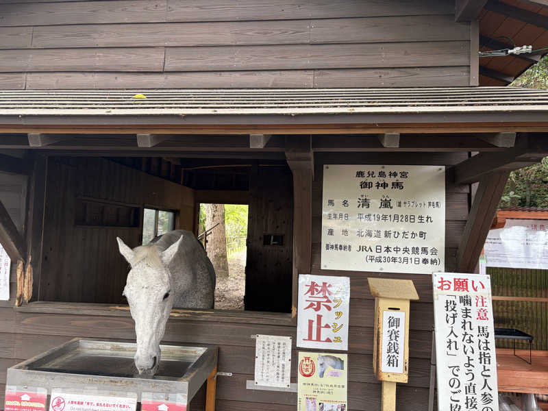 さんせっとサウナさんの天然温泉 ひなたの宿 日南宮崎のサ活写真