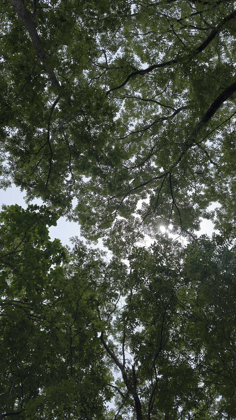 まサたかさんの宇部サウナセンターのサ活写真