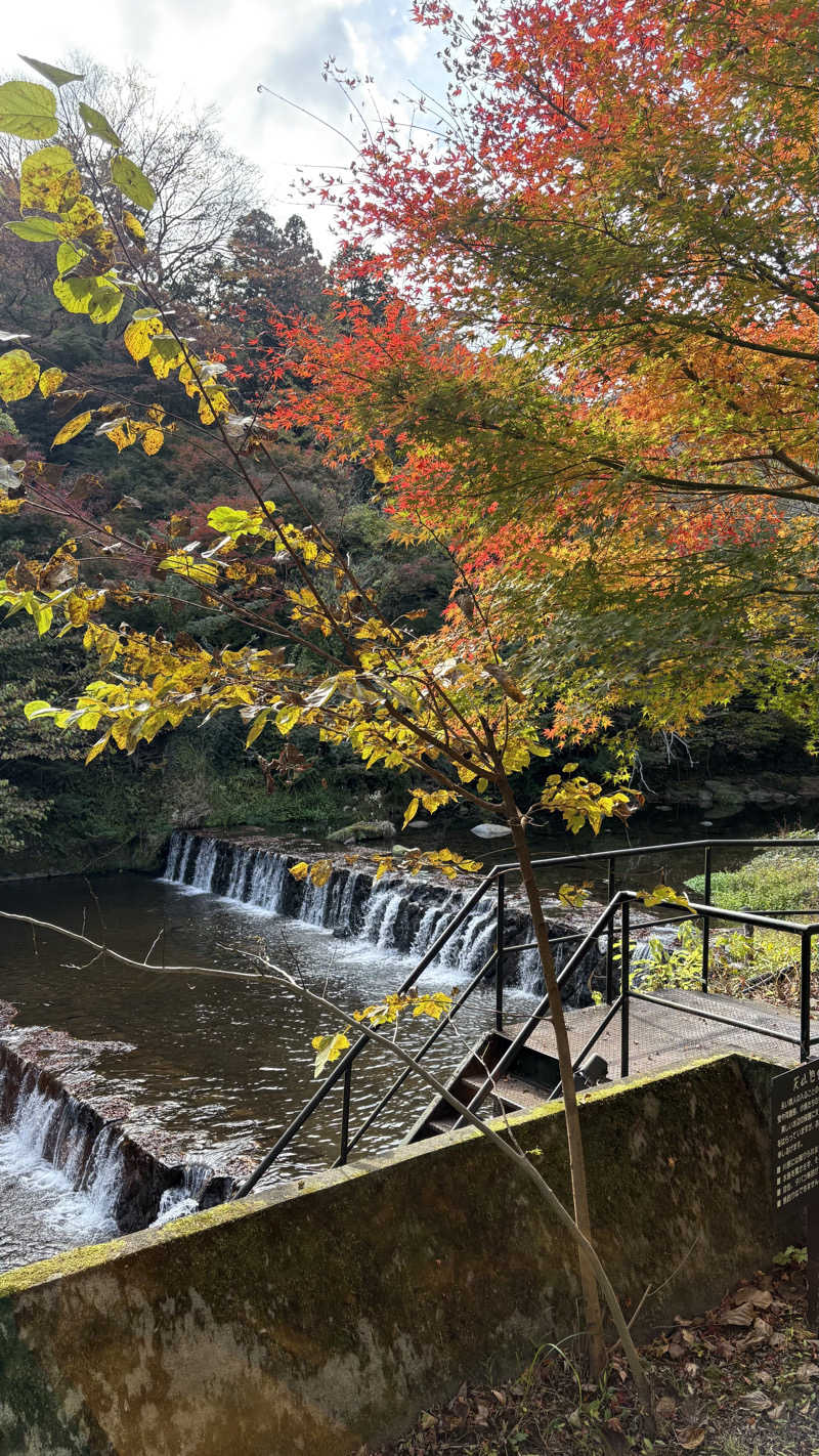 あやぱんさんの天山湯治郷 ひがな湯治 天山のサ活写真