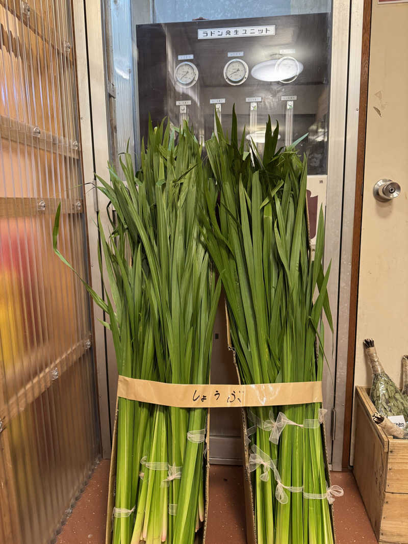 Kiyomi AUSさんの調布 鶴の湯のサ活写真