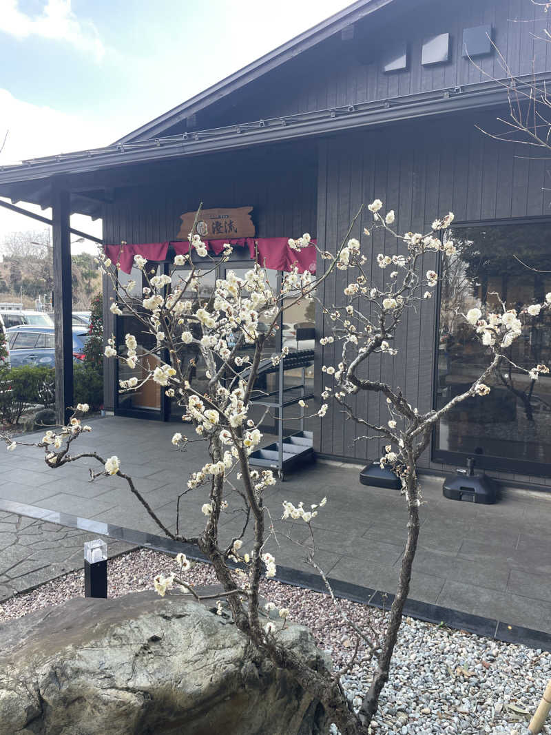 アマサーさんの佐倉天然温泉 澄流(すみれ)のサ活写真