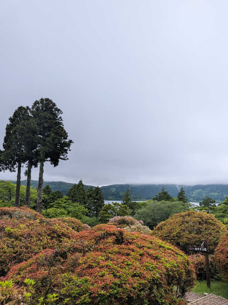 サウナツさんの小田急 山のホテルのサ活写真
