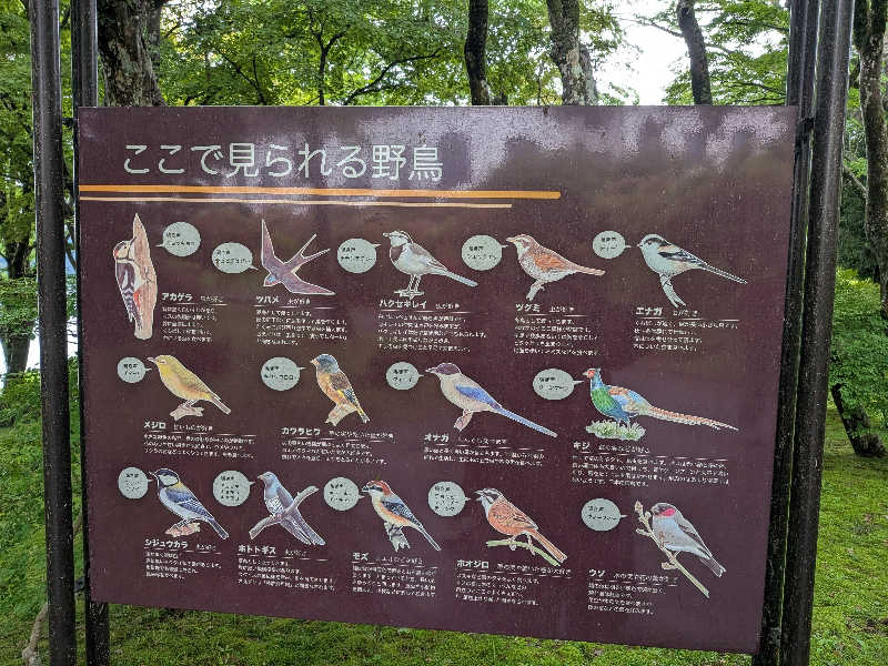 サウナツさんの小田急 山のホテルのサ活写真