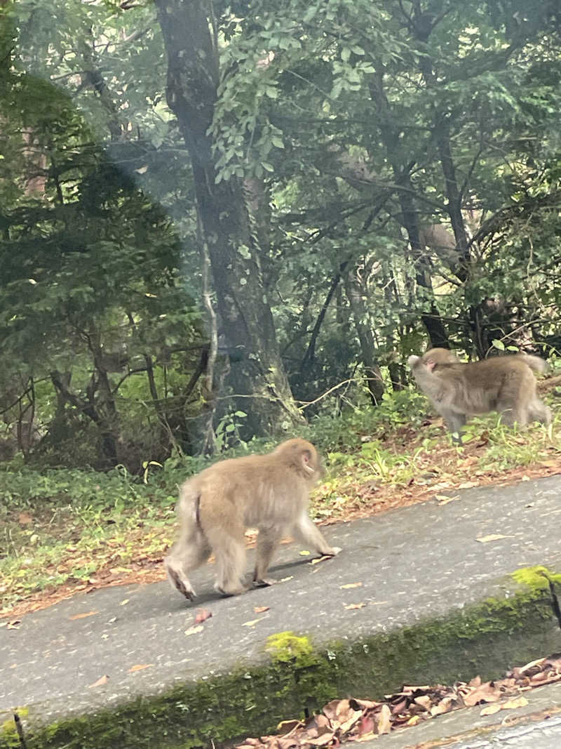ワイヲさんの早太郎温泉 露天こぶしの湯のサ活写真