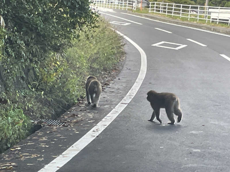 ワイヲさんの早太郎温泉 露天こぶしの湯のサ活写真