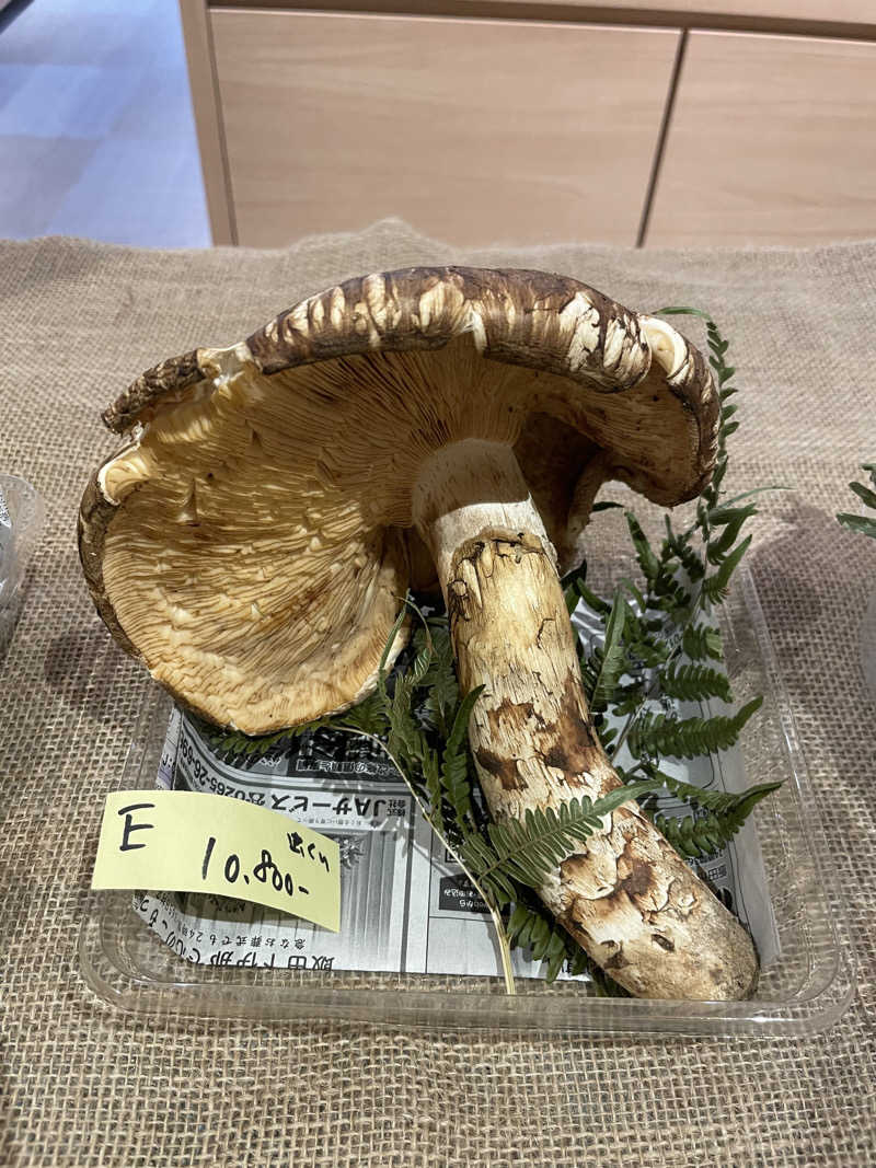 ワイヲさんの信州まつかわ温泉 清流苑のサ活写真