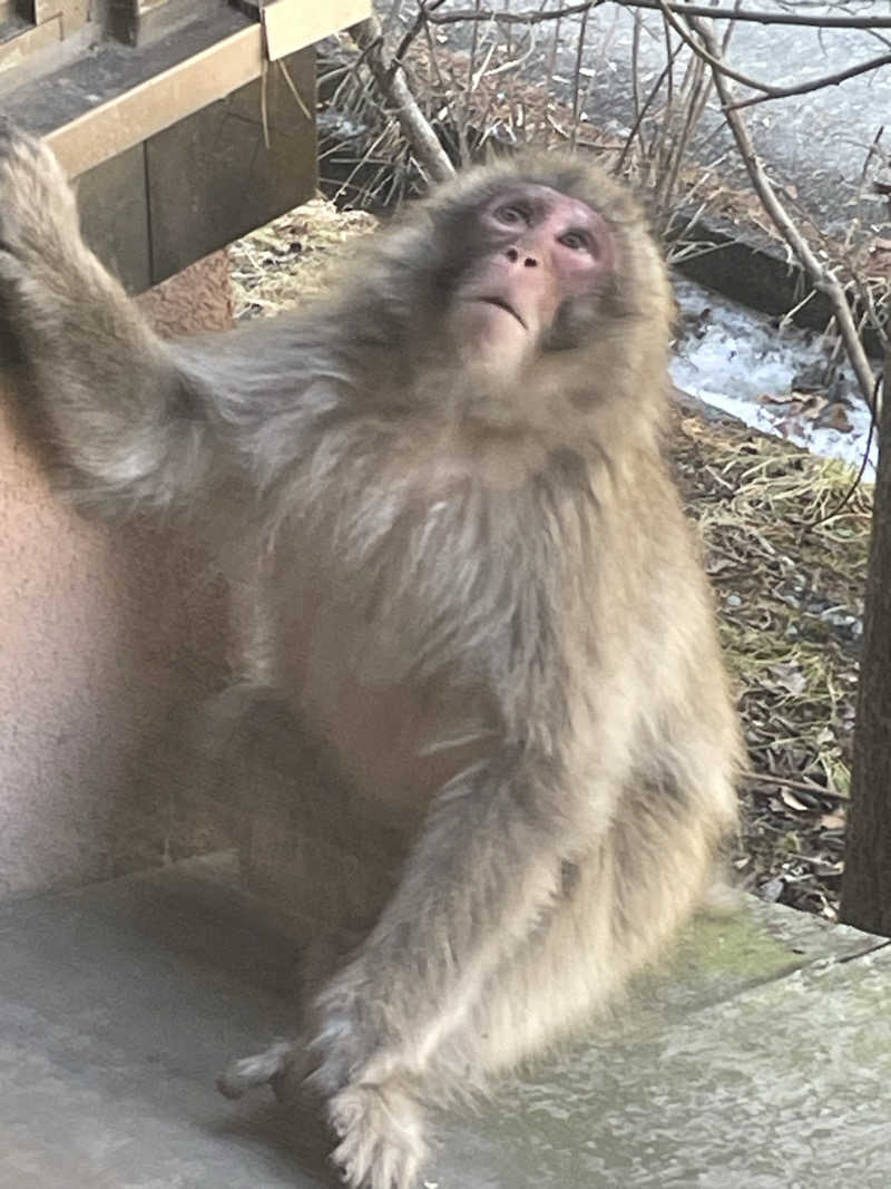 ワイヲさんの早太郎温泉 露天こぶしの湯のサ活写真