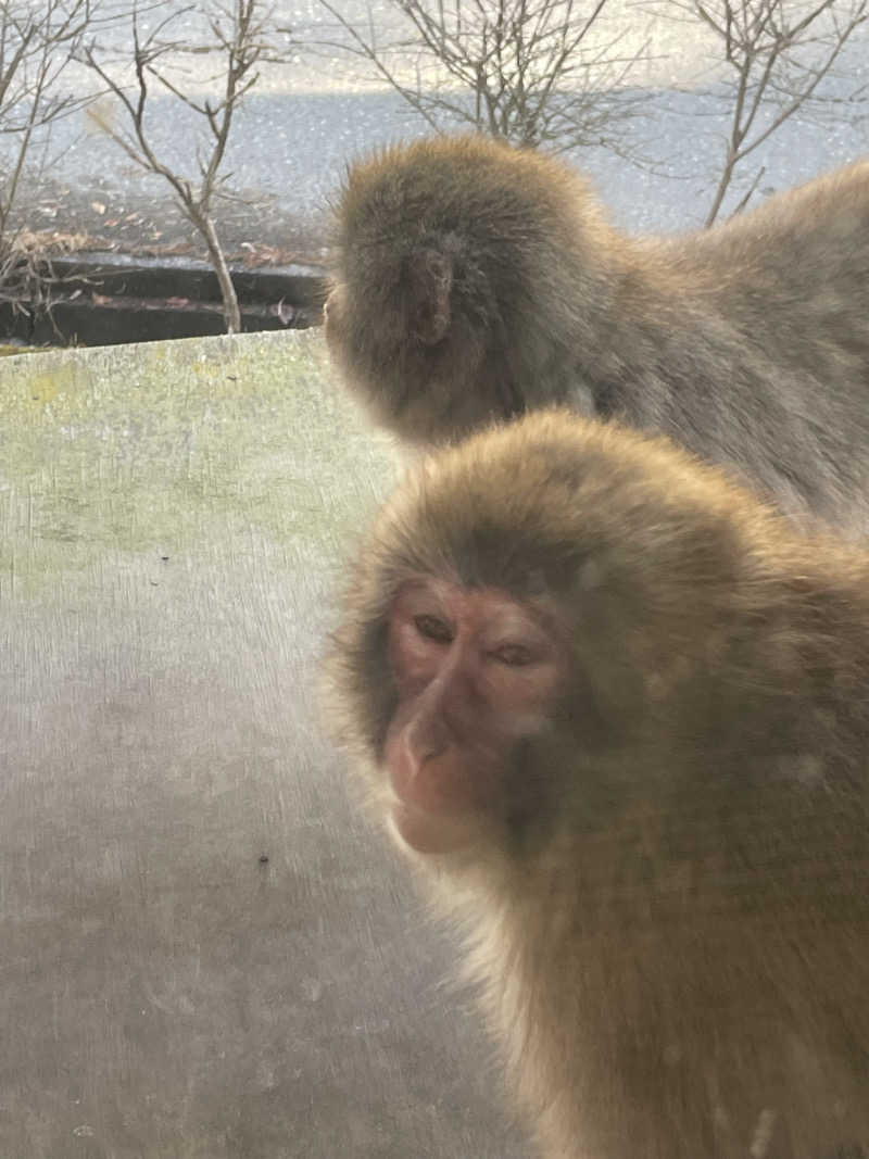 ワイヲさんの早太郎温泉 露天こぶしの湯のサ活写真