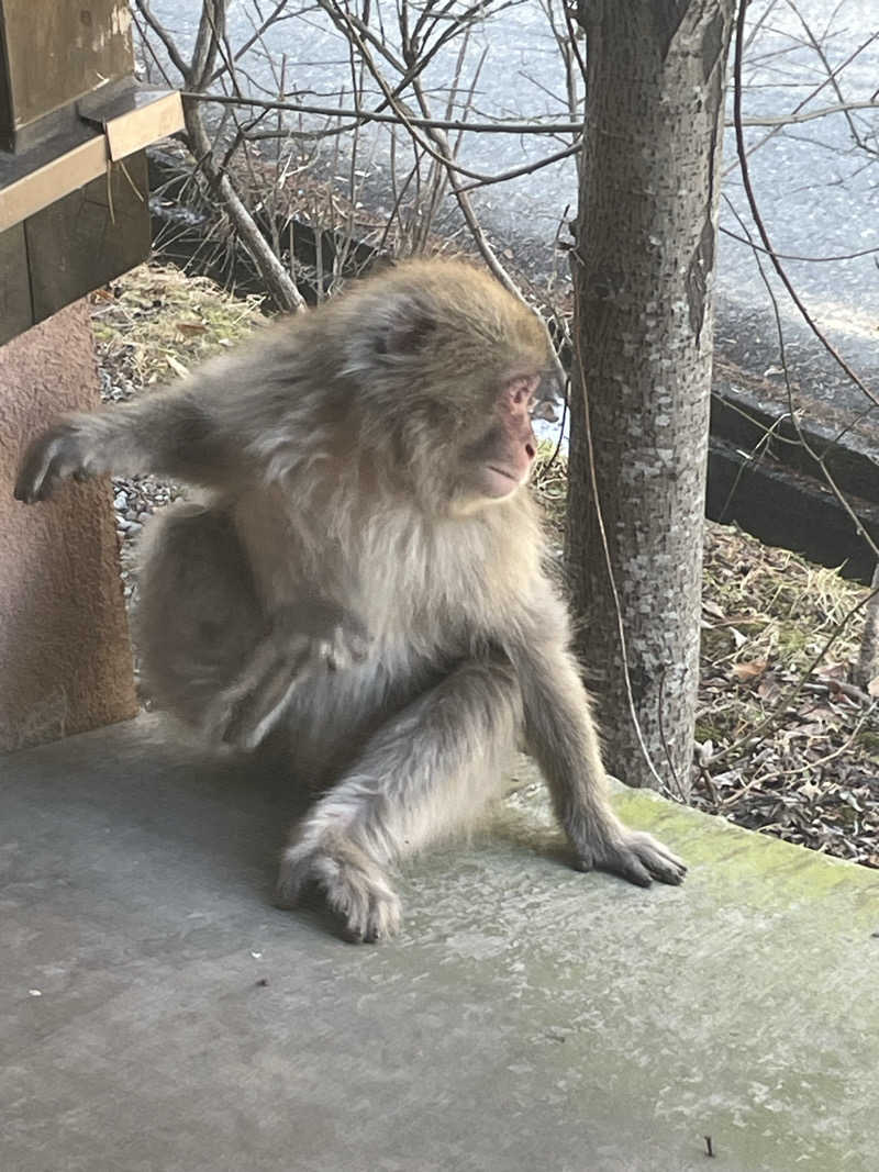 ワイヲさんの早太郎温泉 露天こぶしの湯のサ活写真