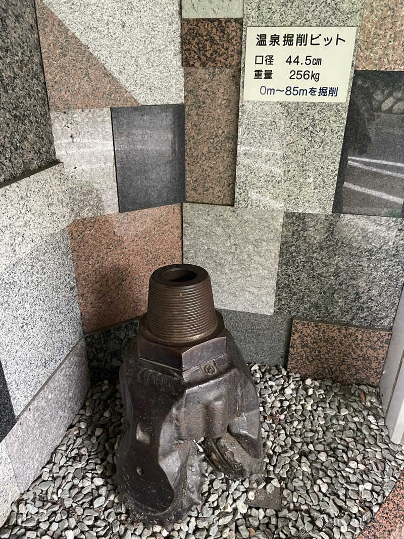 ワイヲさんの飯田城温泉 天空の城のサ活写真