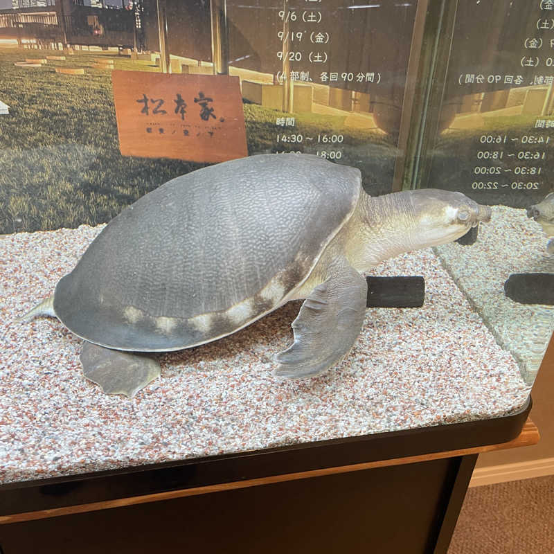ちょーすけさんの松本湯のサ活写真
