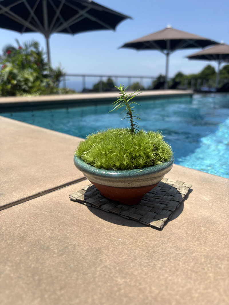 卵かけごはんさんのSankara Hotel & Spa 屋久島のサ活写真