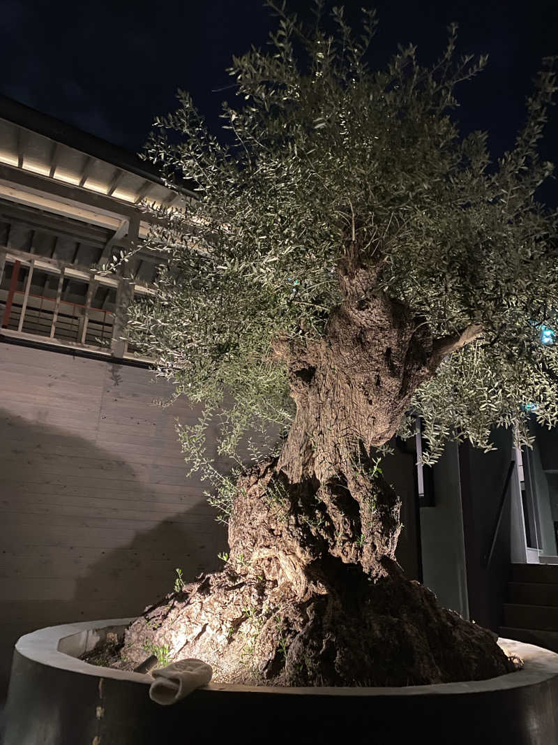 mirorinnさんのsauna kolme kylä (サウナ コルメ キュラ)のサ活写真