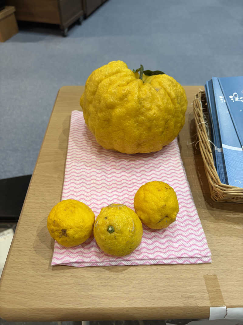 蒸しりんご🍎さんの湯～トピアかんなみのサ活写真