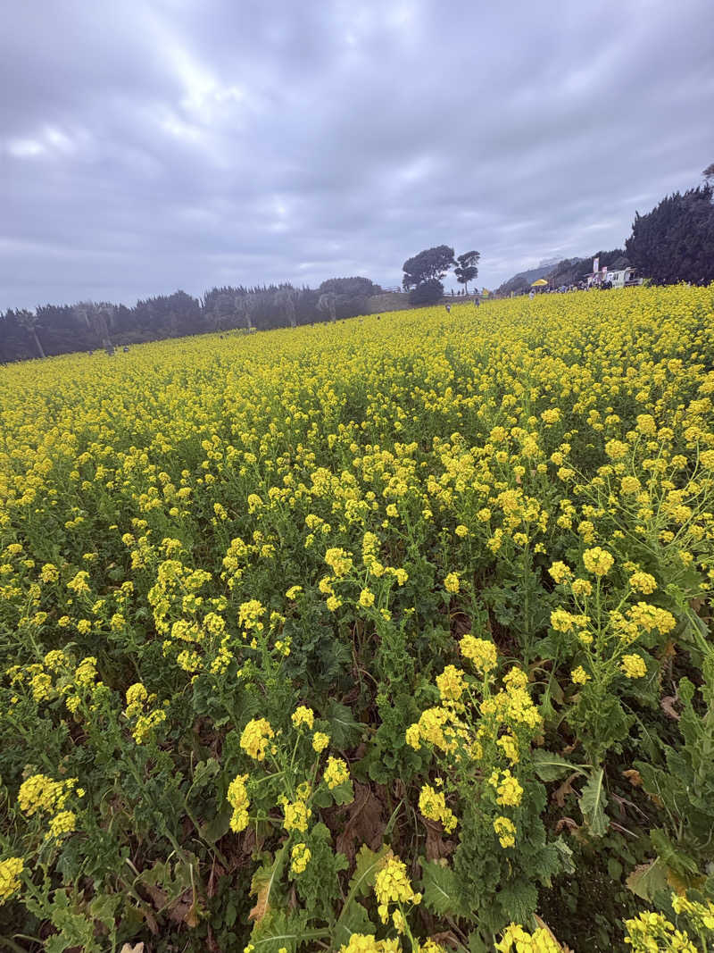 はぴさんのホテル シーパレスリゾート アクアの湯 BALIのサ活写真