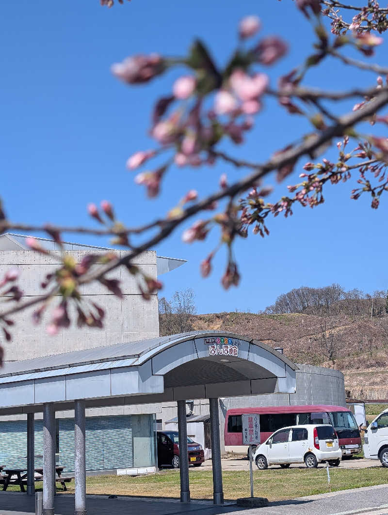 YU-MAさんのぽんぽ館のサ活写真
