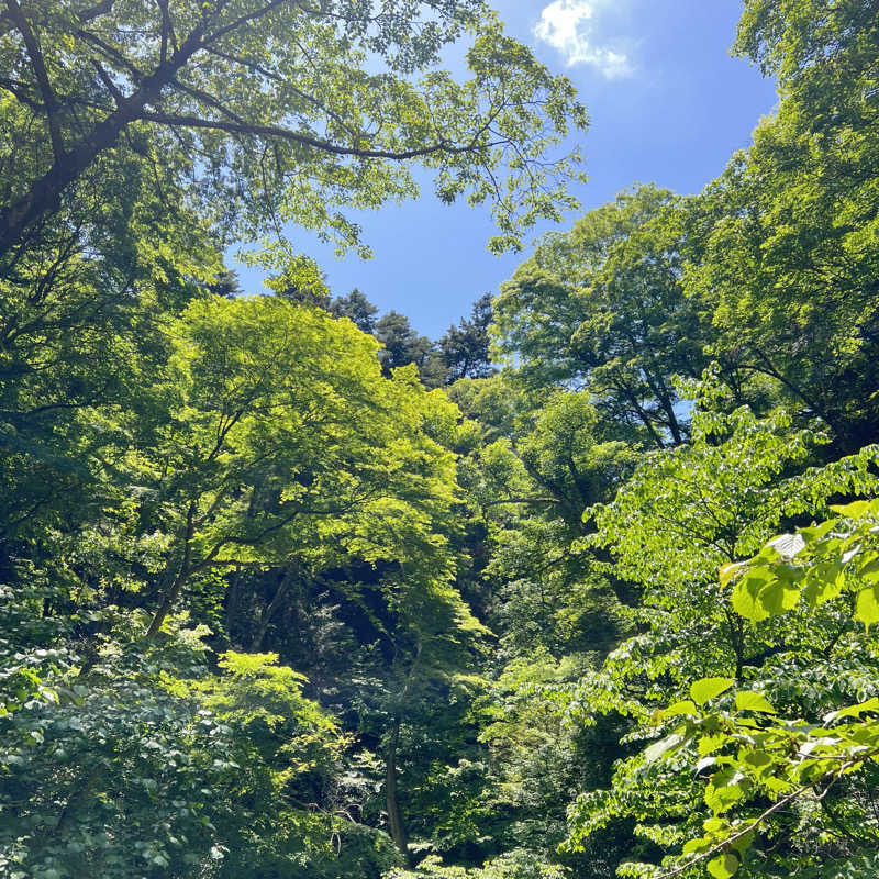 新緑さんのTAKAO36SAUNAのサ活写真