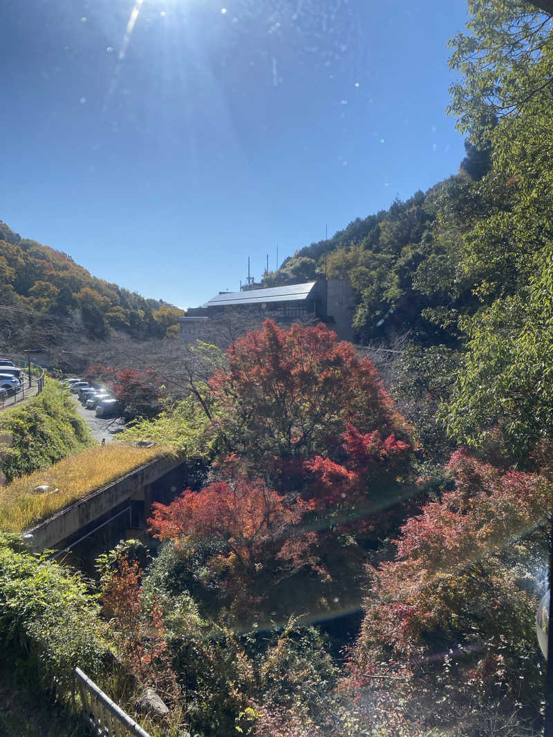 booさんの猿投温泉 金泉の湯のサ活写真