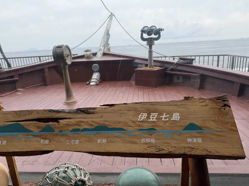 毎日サウナは風邪ひかないさんの稲取東海ホテル湯苑のサ活写真