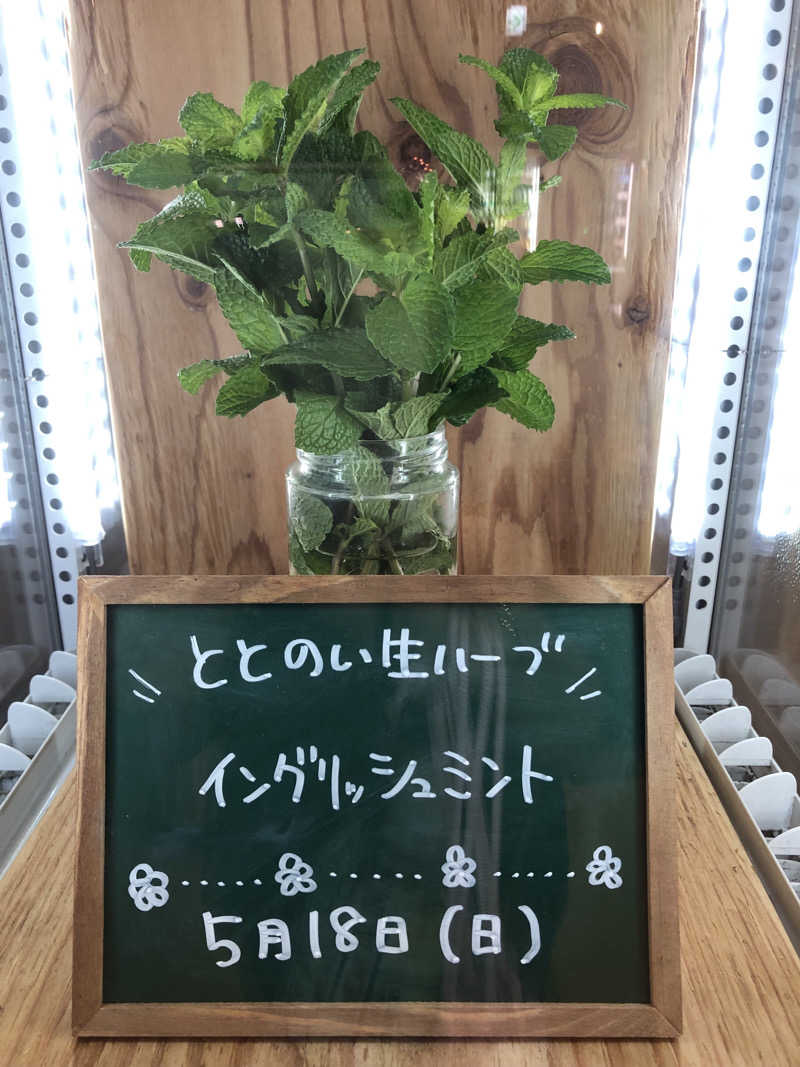なっちさんの各務原 恵みの湯のサ活写真