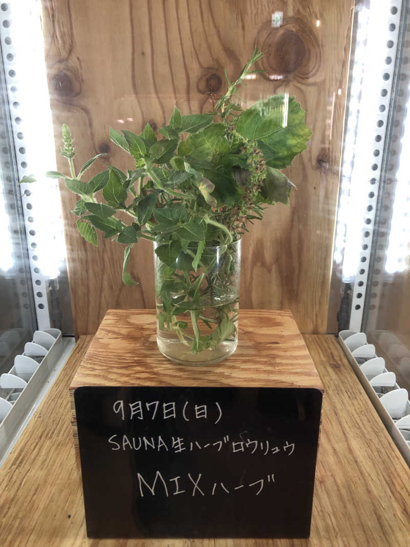 なっちさんの岐阜各務原 恵みの湯のサ活写真