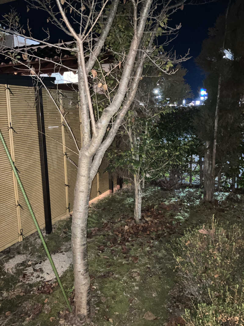 ふじわらととのうさんの神辺天然温泉 ぐらんの湯のサ活写真