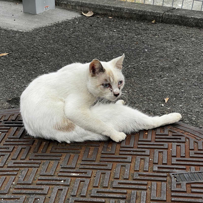 スパじろうさんのはだの・湯河原温泉 万葉の湯のサ活写真