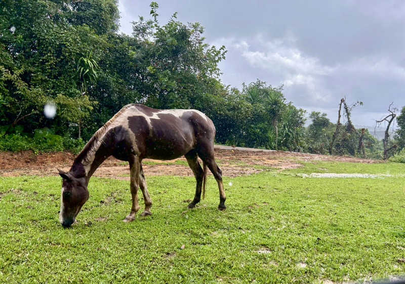 やなぎさんのHidden Villaのサ活写真