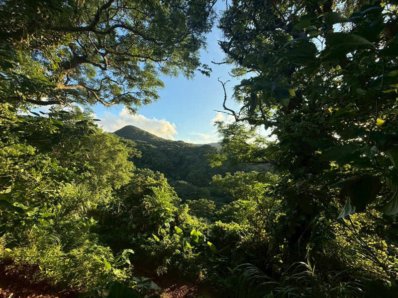 やなぎさんのHidden Villaのサ活写真