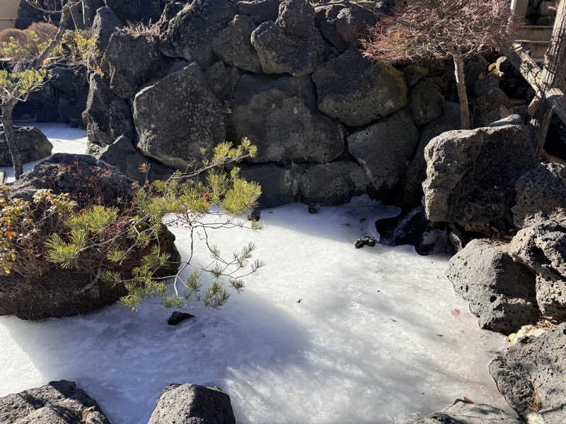 etyuさんの富士眺望の湯 ゆらりのサ活写真