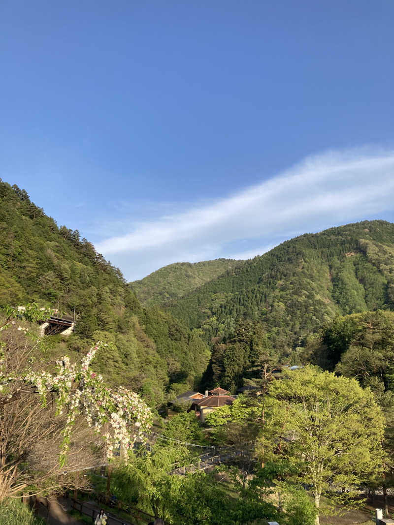 ryotaさんののめこい湯のサ活写真