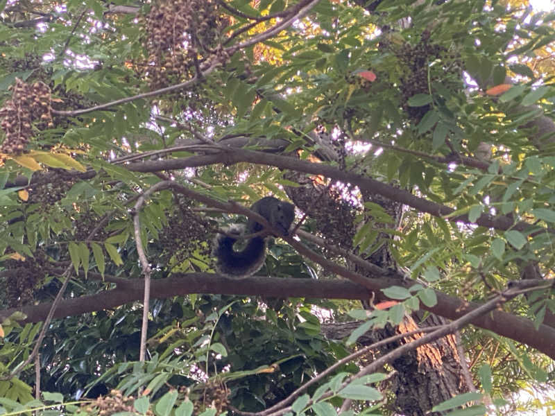 おうまのサウナさんのPrivate Sauna VAGUE (AKAMA鎌倉)のサ活写真